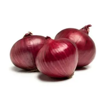 Onion (3)-4114984-84277.webp